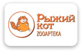 Рыжий кот